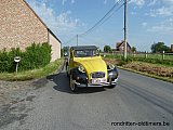 Zandlemig Vlaanderen